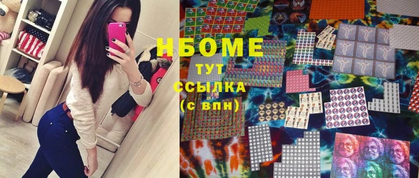 индика Абинск