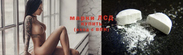 индика Абинск