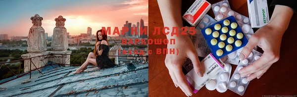 индика Абинск