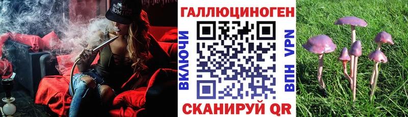 Галлюциногенные грибы Magic Shrooms  Рославль 